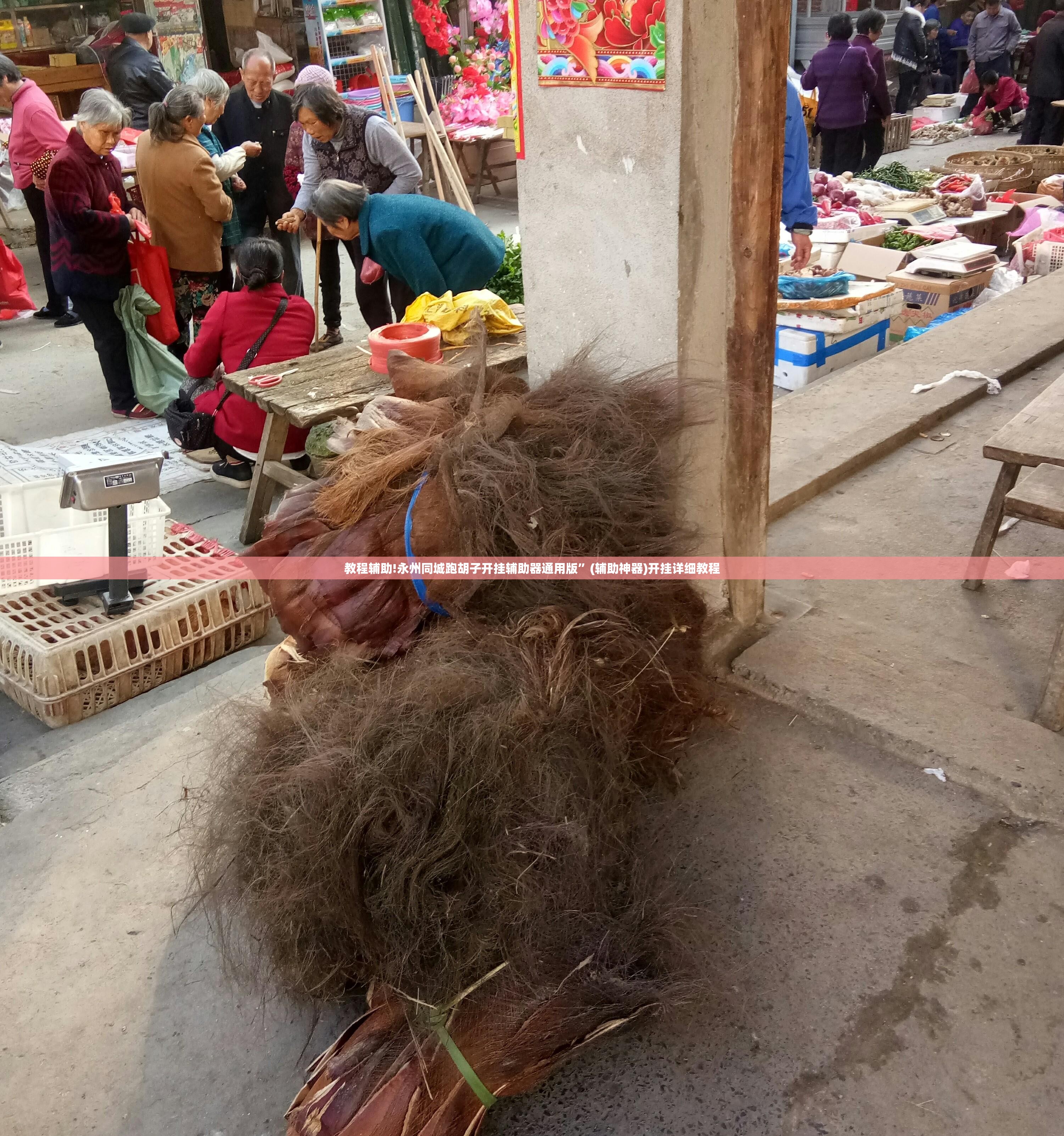 教程辅助!永州同城跑胡子开挂辅助器通用版”(辅助神器)开挂详细教程