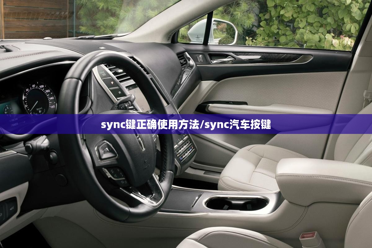 sync键正确使用方法/sync汽车按键 sync键正确使用方法/sync汽车按键