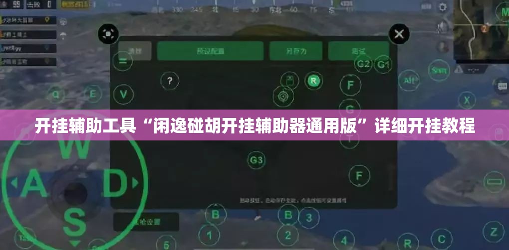 开挂辅助工具“闲逸碰胡开挂辅助器通用版”详细开挂教程