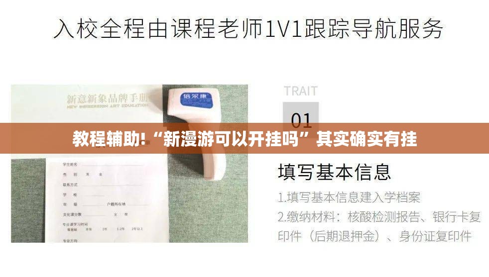 教程辅助!“新漫游可以开挂吗”其实确实有挂