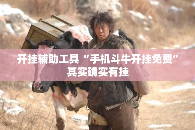 开挂辅助工具“手机斗牛开挂免费	”其实确实有挂