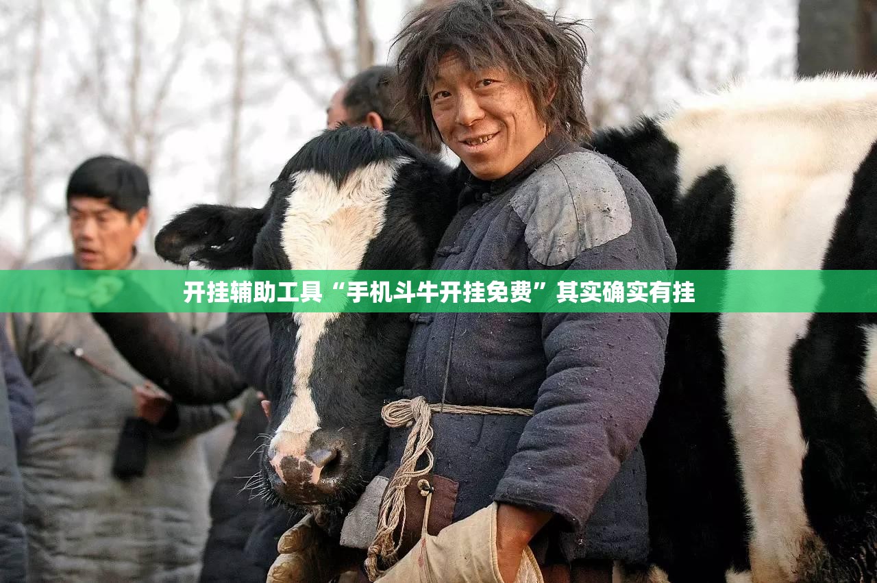 开挂辅助工具“手机斗牛开挂免费”其实确实有挂