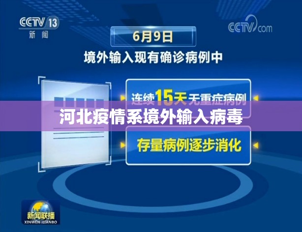 【河北疫情系境外输入病毒,河北疫情或有国外输入病毒引起】