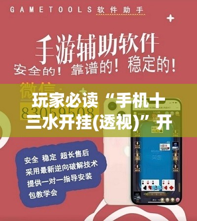玩家必读“手机十三水开挂(透视)	”开挂辅助脚本+详细开挂安装教程