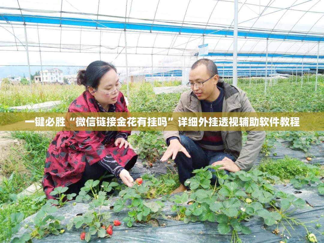 一键必胜“微信链接金花有挂吗	”详细外挂透视辅助软件教程