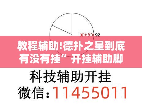 教程辅助!德扑之星到底有没有挂”开挂辅助脚本+详细开挂安装教程