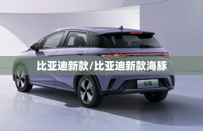 比亚迪新款/比亚迪新款海豚