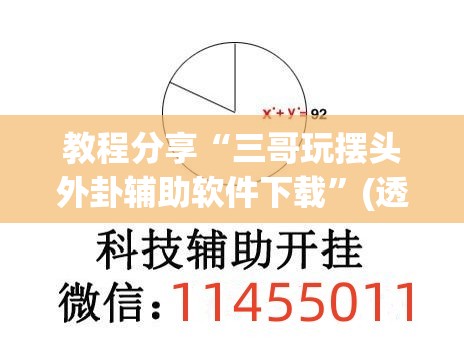 教程分享“三哥玩摆头外卦辅助软件下载”(透视挂)辅助下载教程