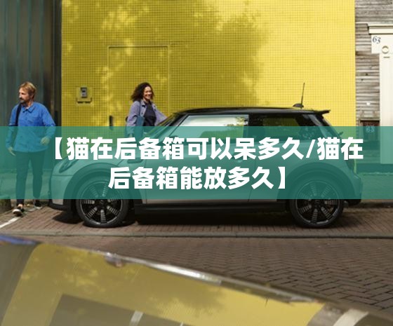 【猫在后备箱可以呆多久/猫在后备箱能放多久】