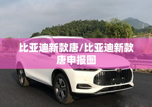 比亚迪新款唐/比亚迪新款唐申报图 比亚迪新款唐/比亚迪新款唐申报图
