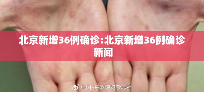 北京新增36例确诊:北京新增36例确诊 新闻