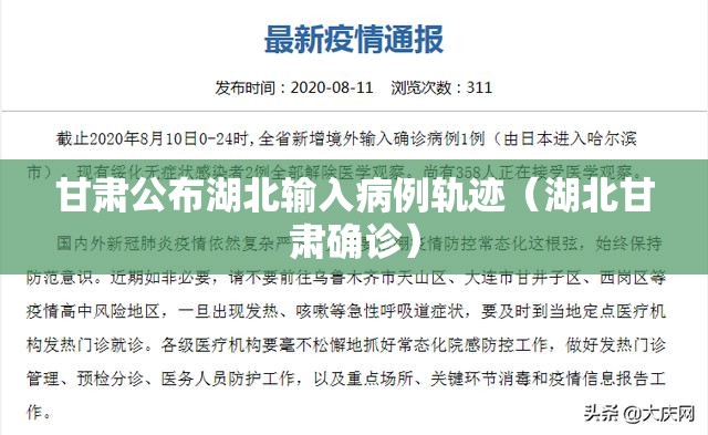 甘肃公布湖北输入病例轨迹（湖北甘肃确诊）