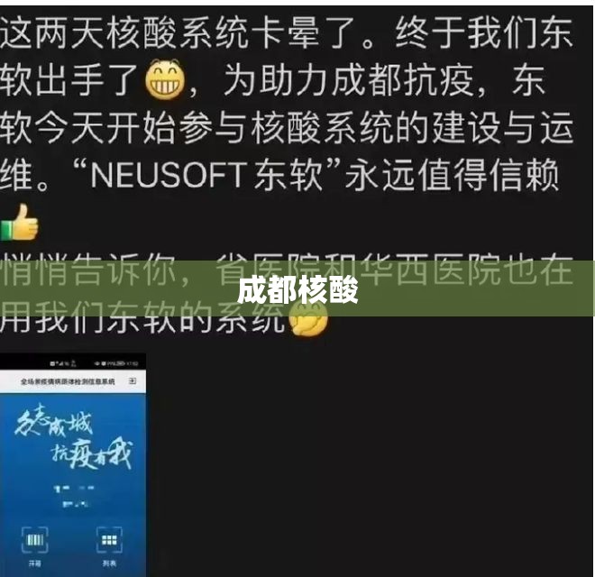 【成都核酸,成都核酸系统崩了 东软集团回应】