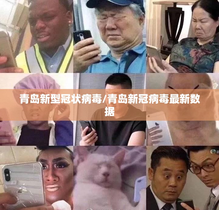 青岛新型冠状病毒/青岛新冠病毒最新数据