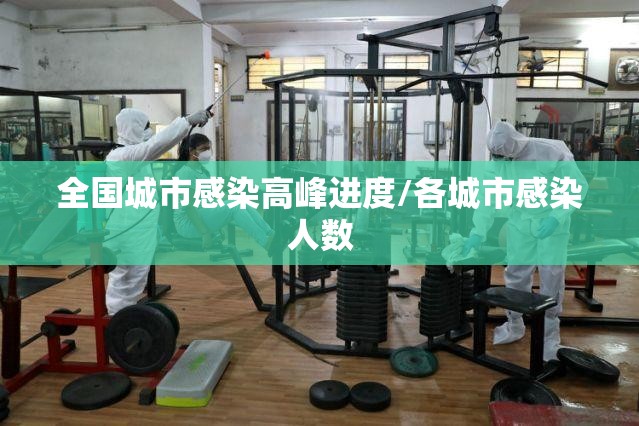 全国城市感染高峰进度/各城市感染人数