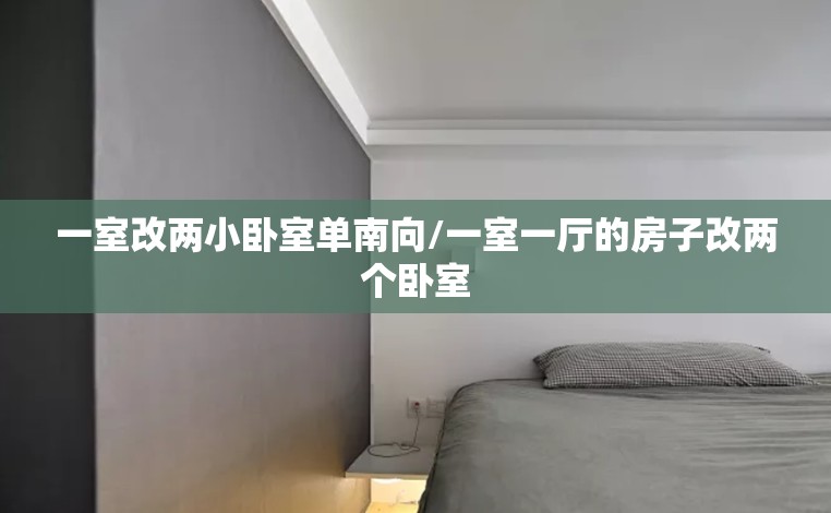 一室改两小卧室单南向/一室一厅的房子改两个卧室