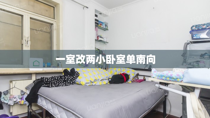 一室改两小卧室单南向/一室一厅的房子改两个卧室