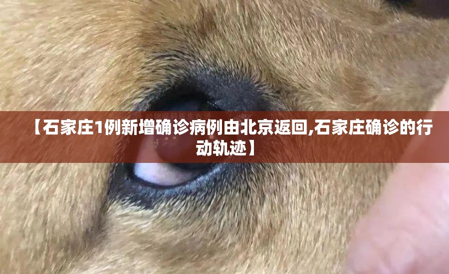 【石家庄1例新增确诊病例由北京返回,石家庄确诊的行动轨迹】 【石家庄1例新增确诊病例由北京返回,石家庄确诊的行动轨迹】