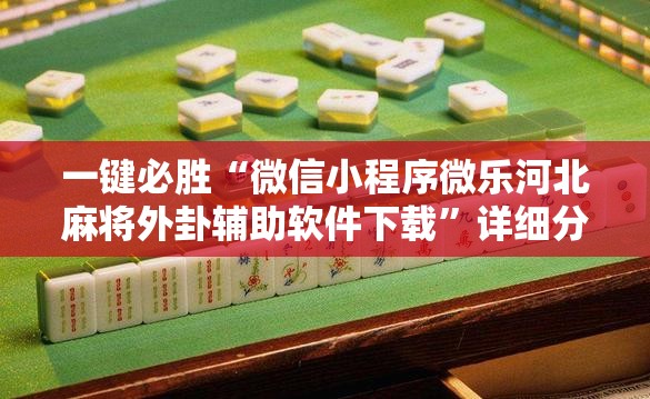 一键必胜“微信小程序微乐河北麻将外卦辅助软件下载”详细分享装挂步骤