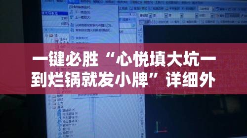 一键必胜“心悦填大坑一到烂锅就发小牌	”详细外挂透视辅助软件教程