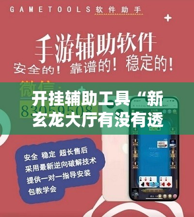 开挂辅助工具“新玄龙大厅有没有透视挂”开挂(透视)辅助神器