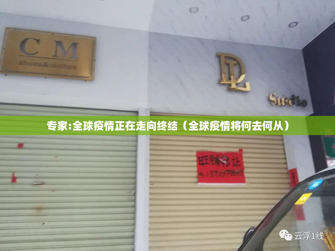 专家:全球疫情正在走向终结（全球疫情将何去何从）