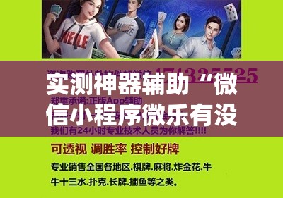 实测神器辅助“微信小程序微乐有没有开挂神器”(透视挂)辅助下载教程