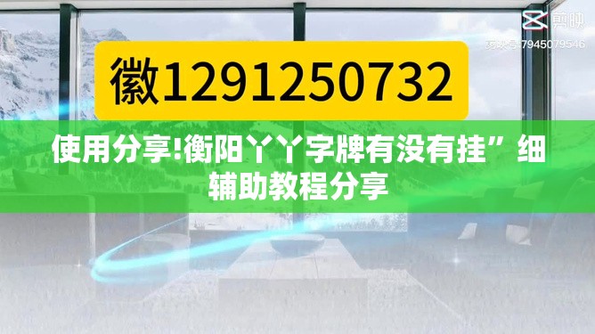 使用分享!衡阳丫丫字牌有没有挂”细辅助教程分享