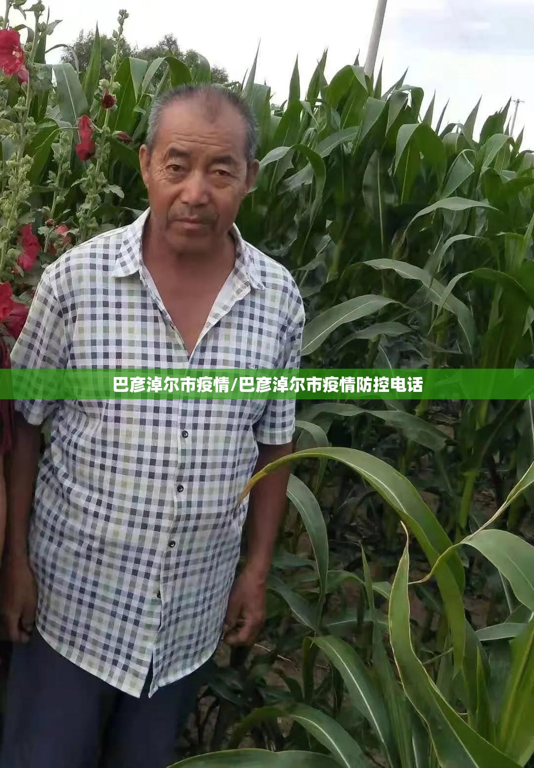 巴彦淖尔市疫情/巴彦淖尔市疫情防控电话