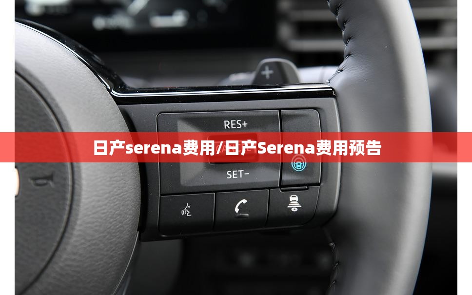 日产serena费用/日产Serena费用预告