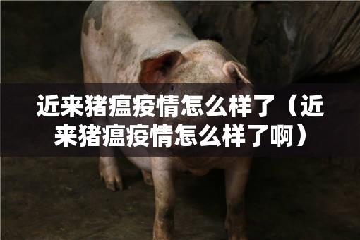 近来猪瘟疫情怎么样了(近来猪瘟疫情怎么样了啊) 近来猪瘟疫情怎么样了(近来猪瘟疫情怎么样了啊)