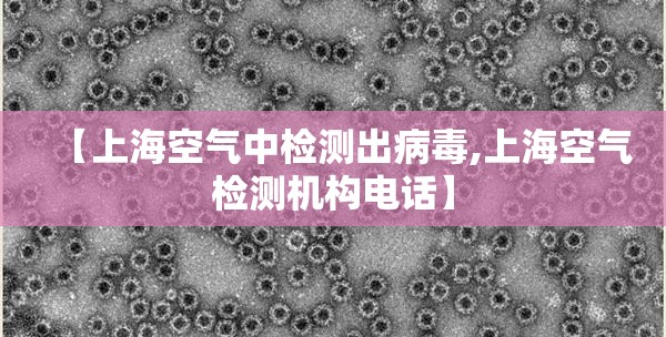 【上海空气中检测出病毒,上海空气检测机构电话】