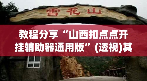 教程分享“山西扣点点开挂辅助器通用版	”(透视)其实确实有挂