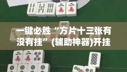 一键必胜“方片十三张有没有挂”(辅助神器)开挂详细教程