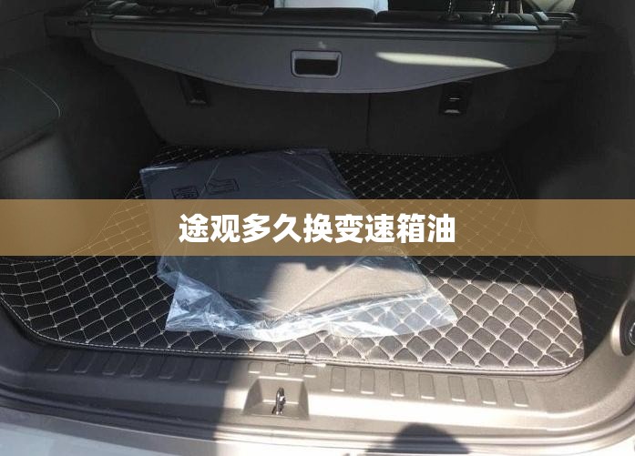 途观多久换变速箱油/途观几年换变速箱油 途观多久换变速箱油/途观几年换变速箱油