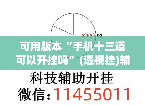 可用版本“手机十三道可以开挂吗”(透视挂)辅助下载教程