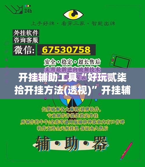 开挂辅助工具“好玩贰柒拾开挂方法(透视)”开挂辅助脚本+详细开挂安装教程