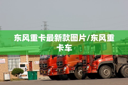 东风重卡最新款图片/东风重卡车