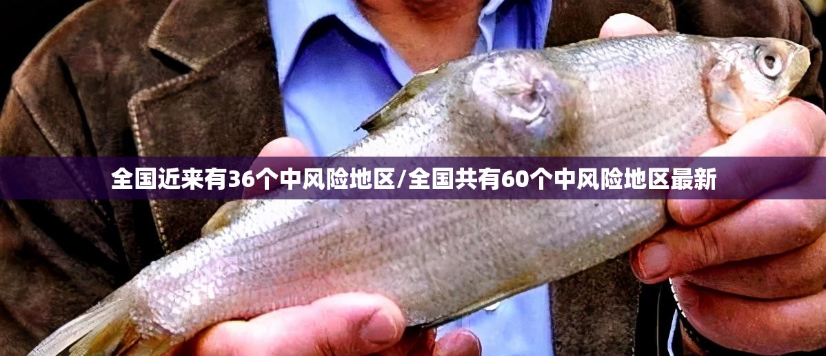 全国近来有36个中风险地区/全国共有60个中风险地区最新