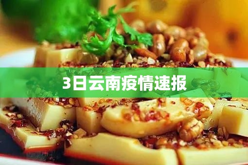 3日云南疫情速报/3日云南确诊病例增至