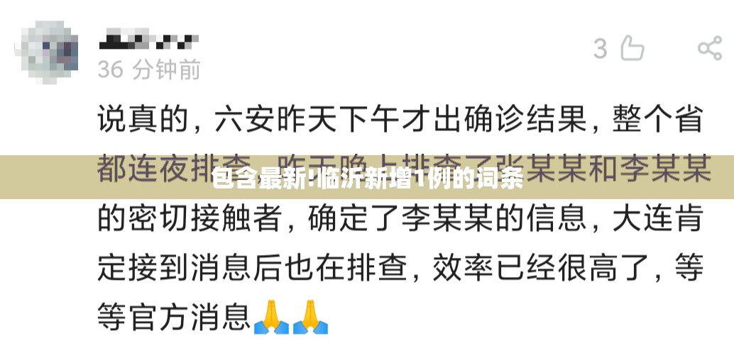 包含最新!临沂新增1例的词条