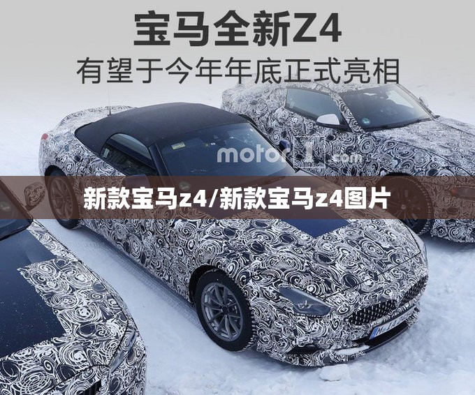 新款宝马z4/新款宝马z4图片