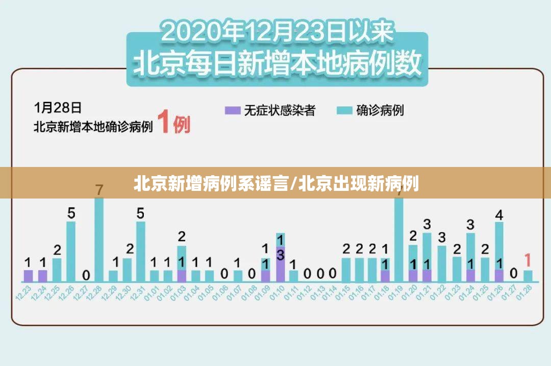 北京新增病例系谣言/北京出现新病例