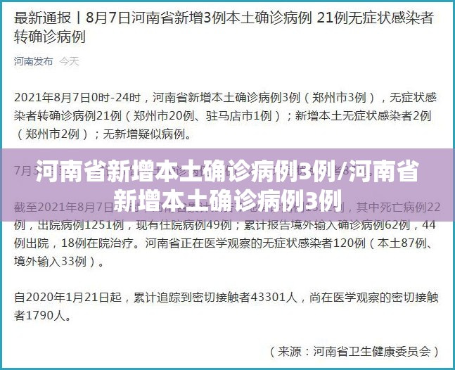 河南省新增本土确诊病例3例/河南省新增本土确诊病例3例