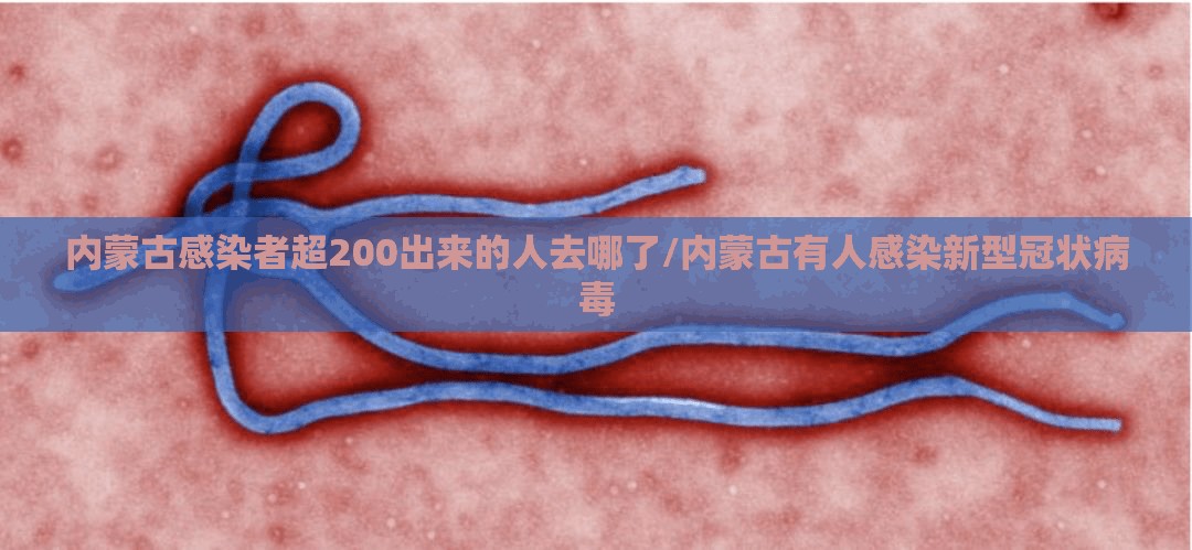 内蒙古感染者超200出来的人去哪了/内蒙古有人感染新型冠状病毒
