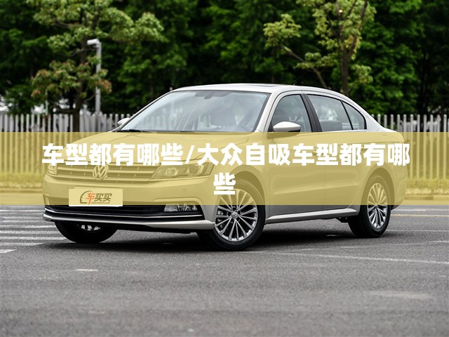 车型都有哪些/大众自吸车型都有哪些