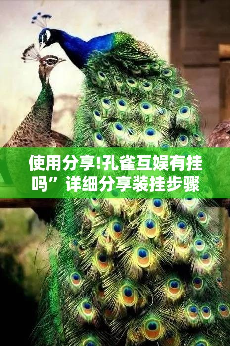 使用分享!孔雀互娱有挂吗	”详细分享装挂步骤