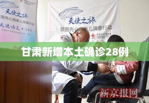 甘肃新增本土确诊28例（甘肃新增本土确诊28例最新消息）