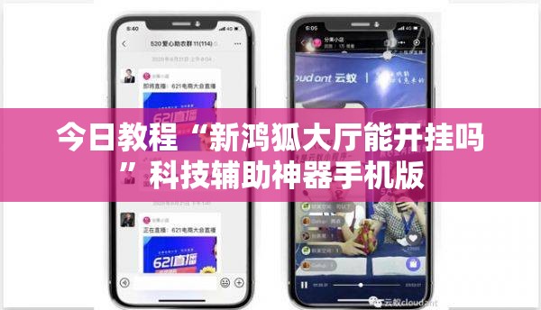 今日教程“新鸿狐大厅能开挂吗”科技辅助神器手机版