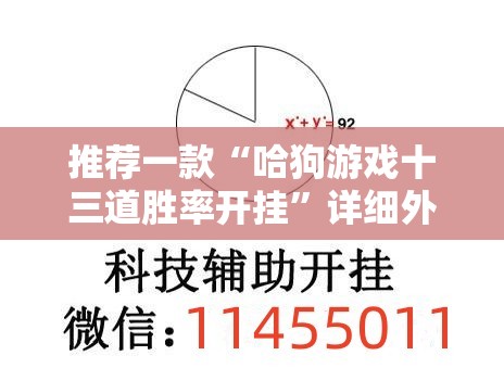 推荐一款“哈狗游戏十三道胜率开挂”详细外挂透视辅助软件教程